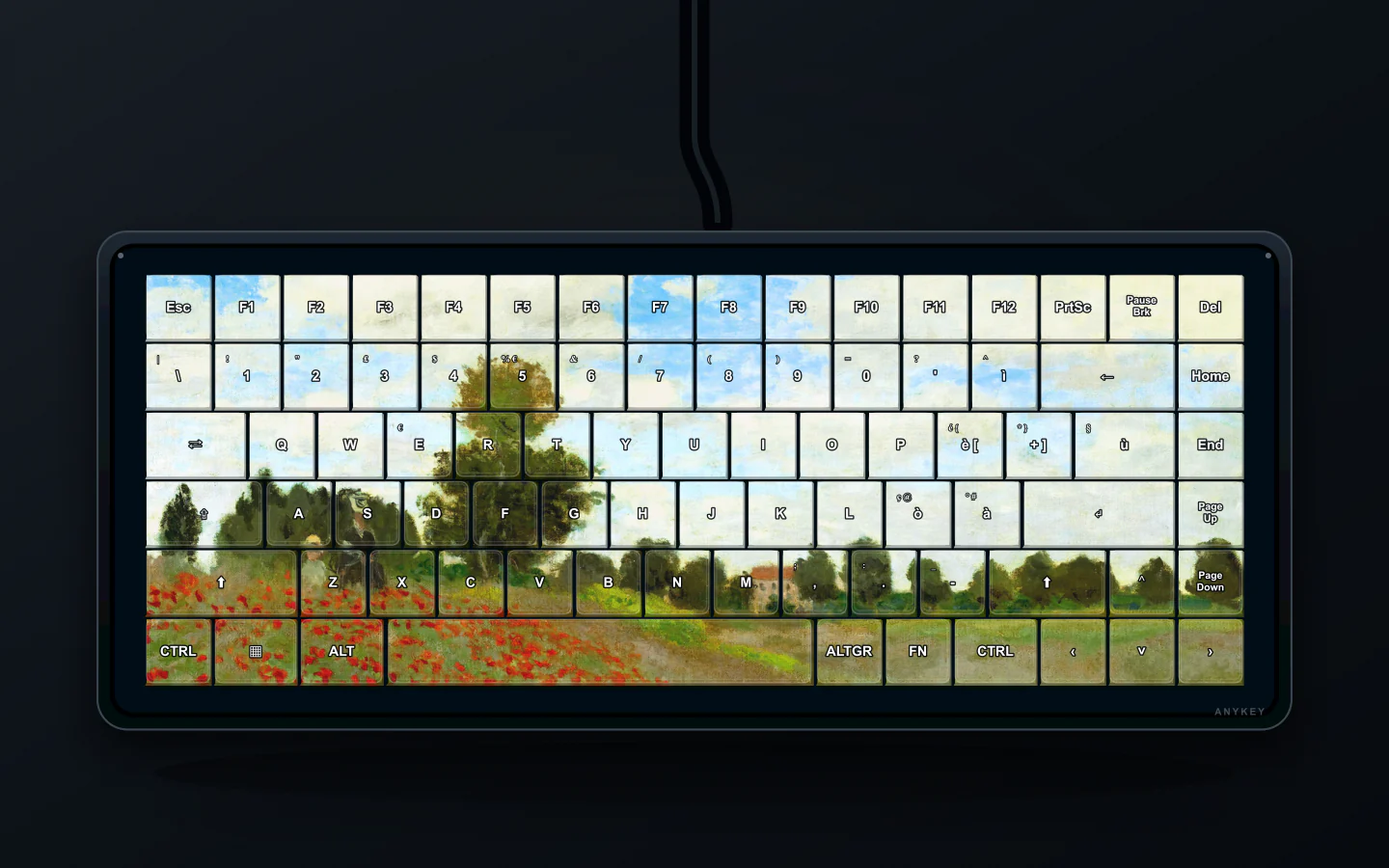 Anteprima del tema Campo di Papaveri