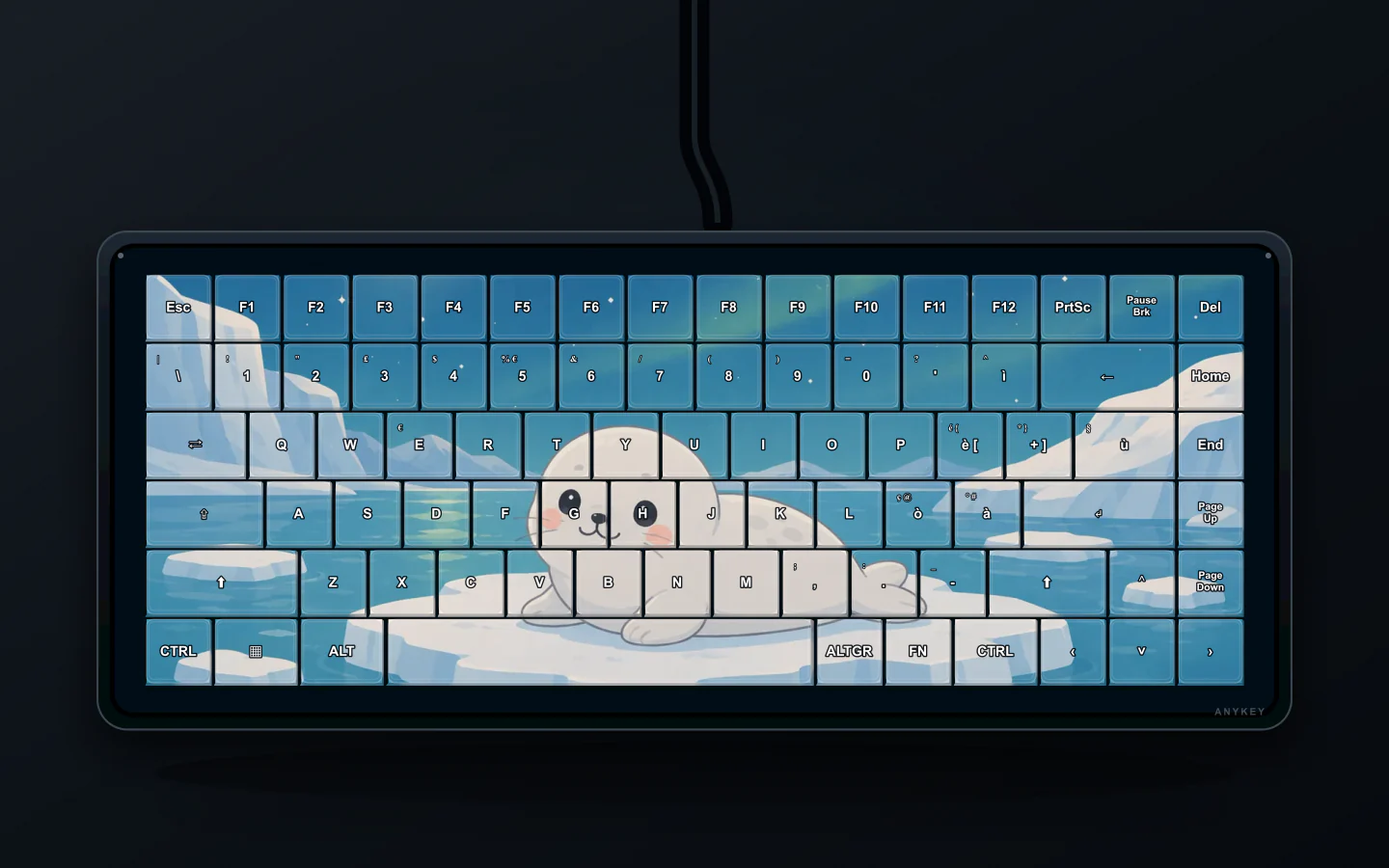 Anteprima del tema Foca Aurora